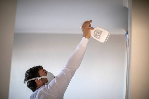Best Mold Removal Near Me  in Indianola, MS