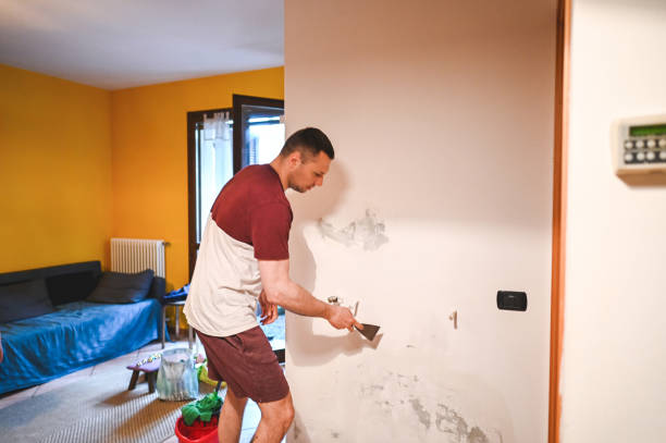 Best Mold Cleaning Services  in Indianola, MS